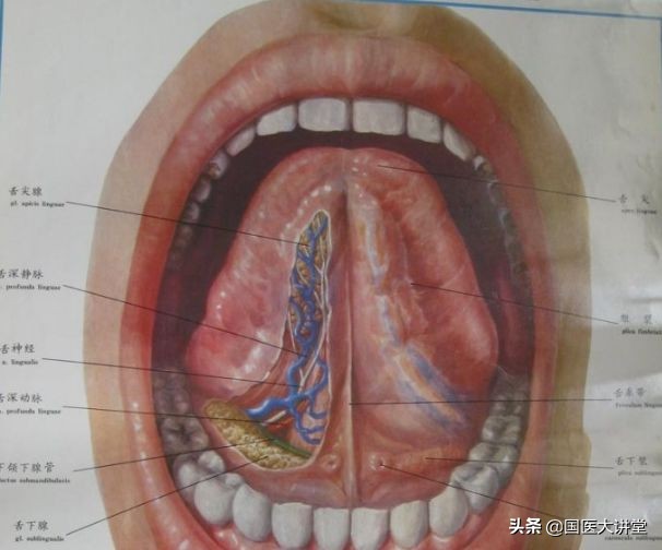 这么多病都是瘀血造成的，化解妙招送给你（深度好文）
