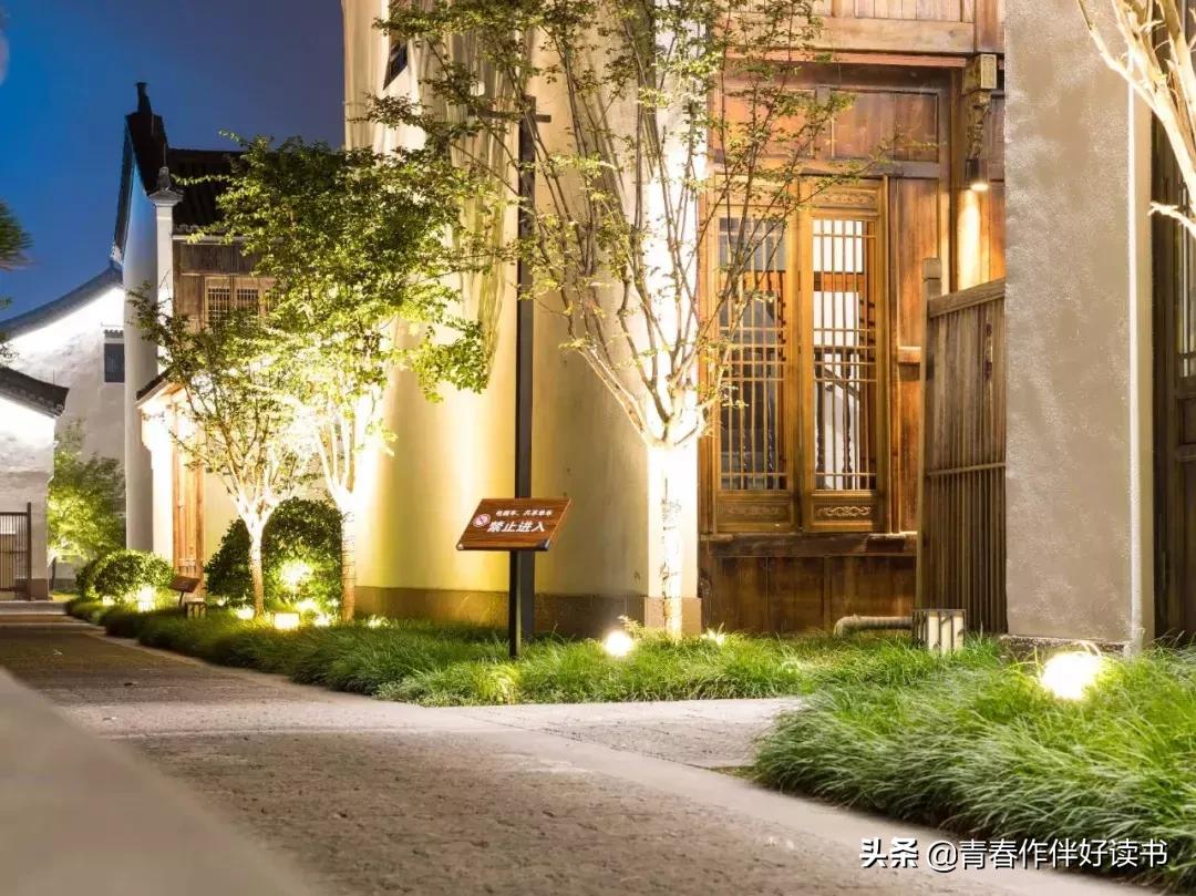 50mm定焦小痰盂,50定焦镜头小痰盂