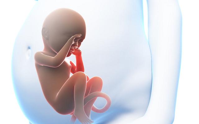 孕期多吃鱼的好处就不用多说了吧,孕早期吃鱼对胎儿发育有什么好处