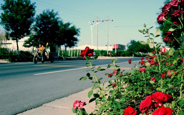 大荔跑跑卡丁车,大荔跑驴车