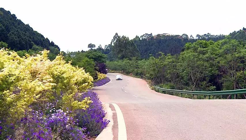 天桥沟玻璃栈道一日游,芙蓉山风景区玻璃滑道