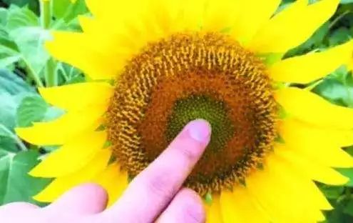 涓嶈鐣忔儳鑲涜偁鎸囨,鍒缇炲甫鎮ㄤ簡瑙g棓鐤殑绉樺瘑