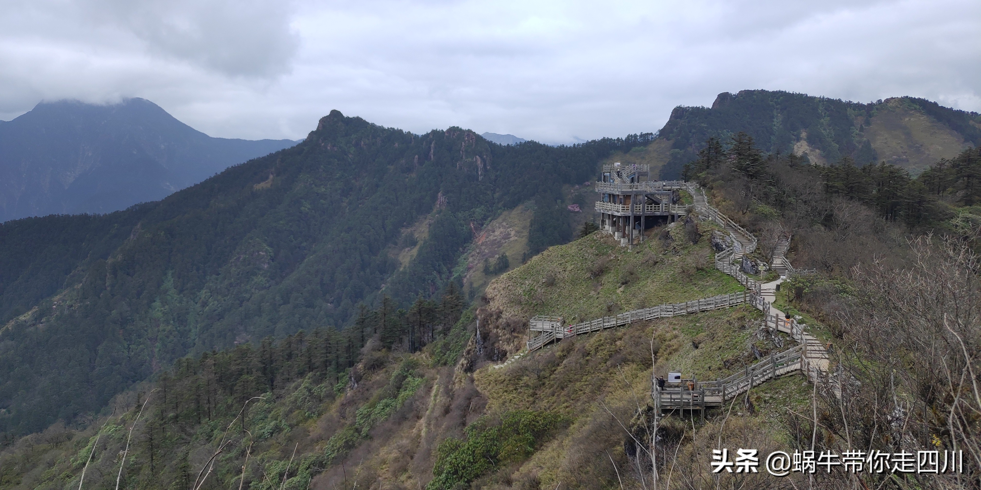 成都去西岭雪山两天一夜旅游团,成都出发雪山旅游