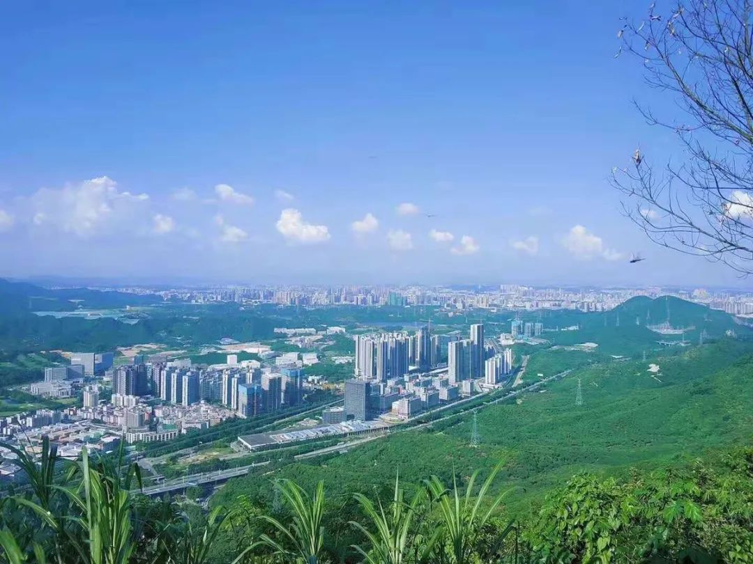 深圳宝能城地铁噪音,宝能城噪音大吗