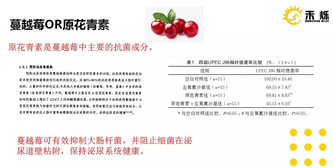 猫咪的泌尿处方粮有用吗,猫咪泌尿发炎用什么药