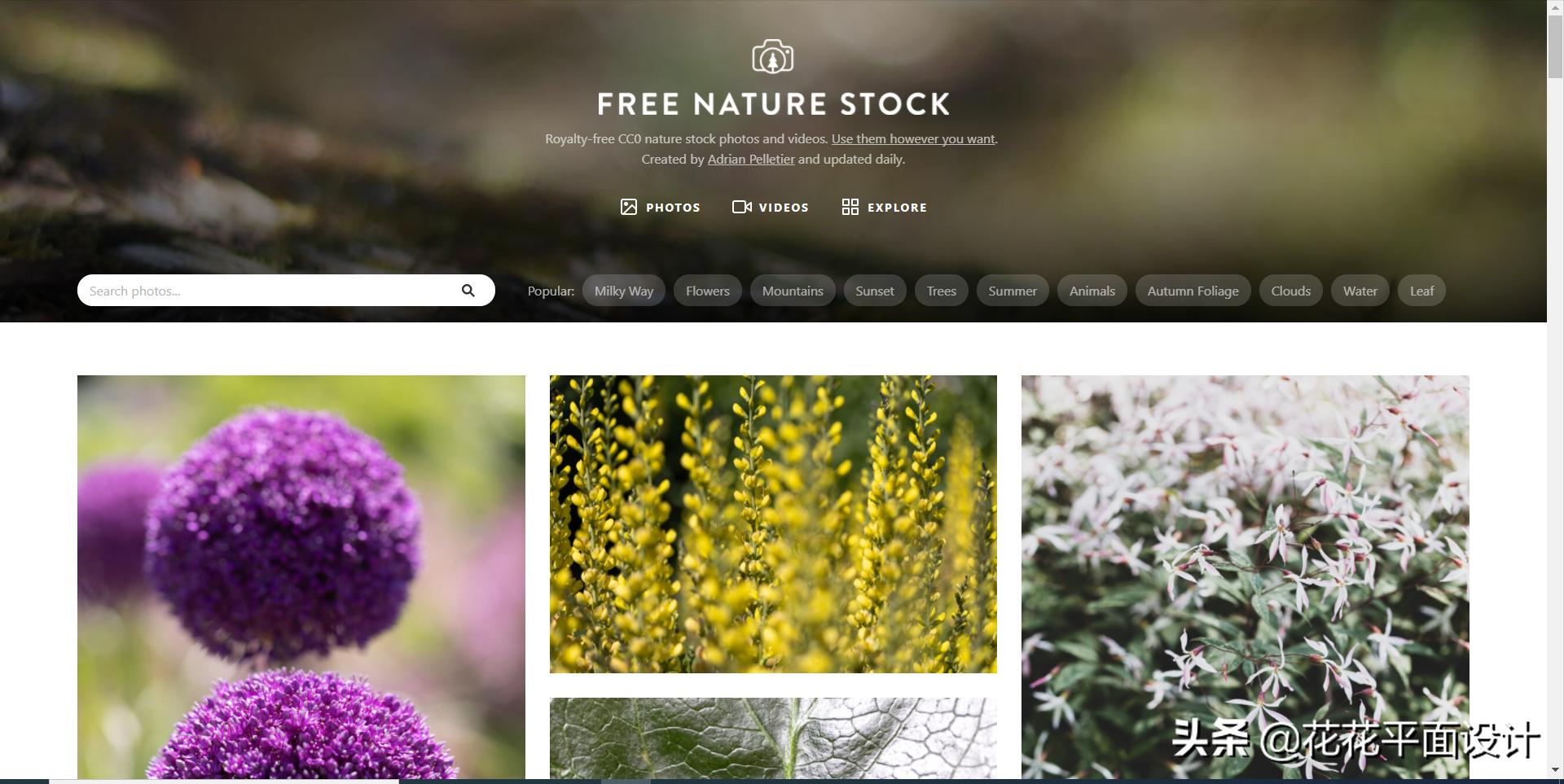 专门做图片版权的网站,购买图片版权网站哪个最好