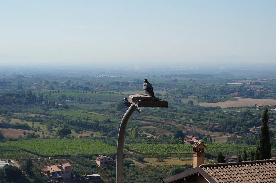 跟着神话去探索拉奇奥：拉努维奥（Lanuvio）