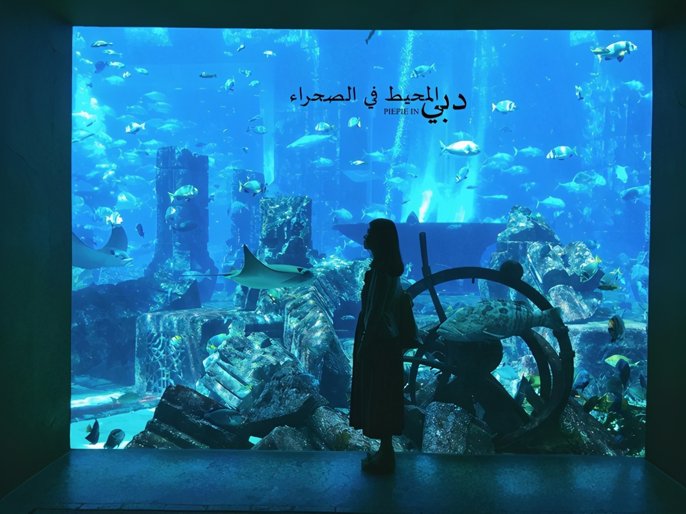 土豪之旅迪拜,迪拜土豪之旅