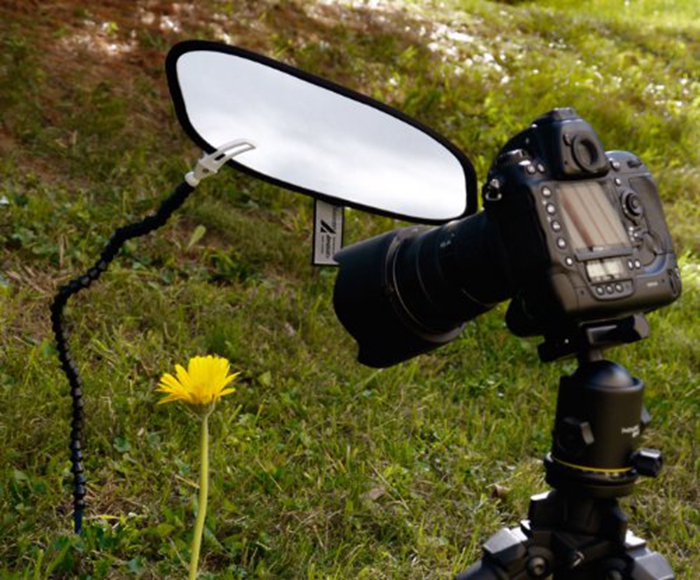 摄影大师拍摄花卉技巧,各种花的拍摄设备有哪些