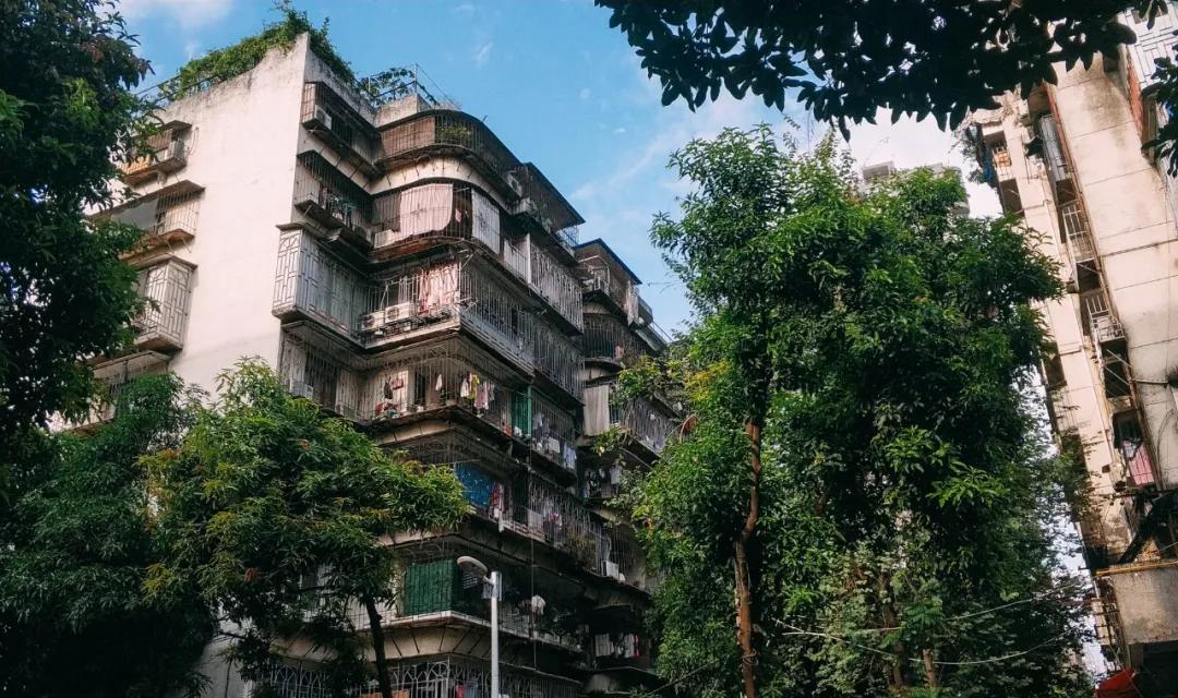 福州租房图鉴大全,福州福湾租房800元以下