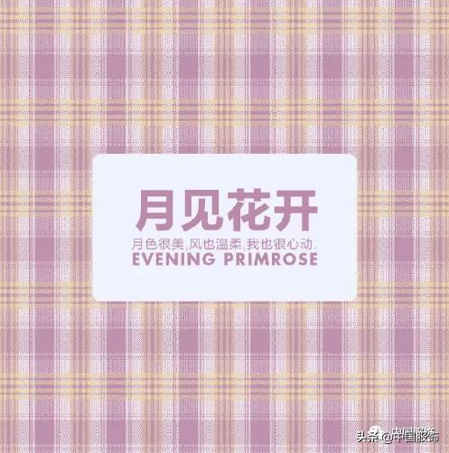 乐町天堂伞联名,乐町连衣格子裙