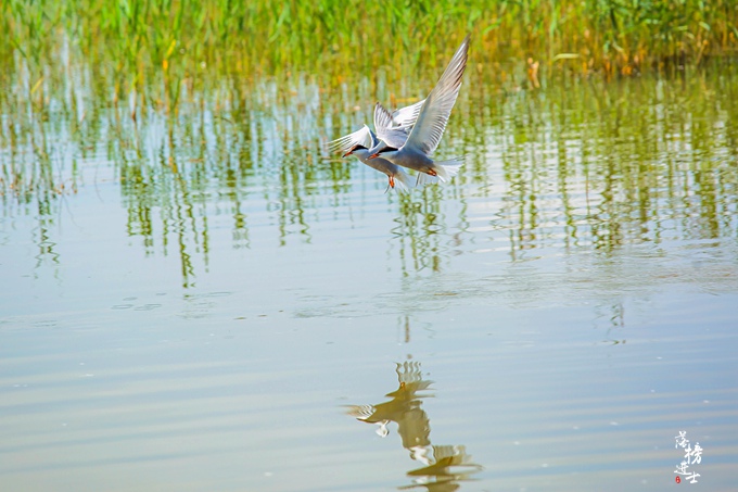 张家口沽源风景区,张家口沽源县景点