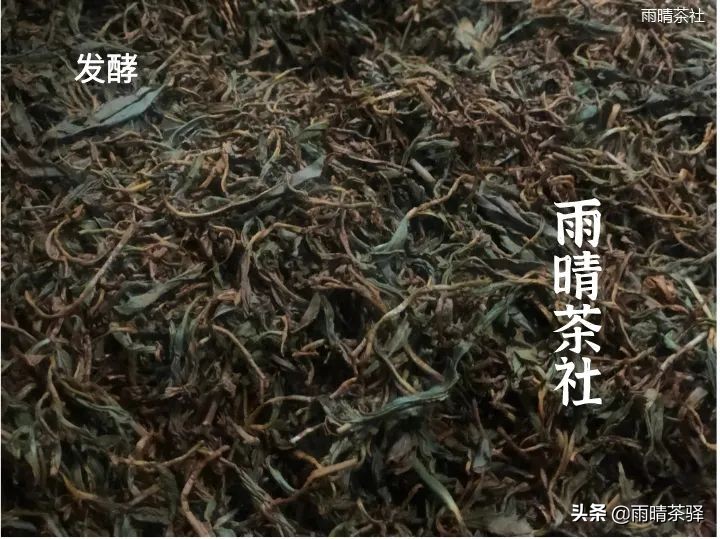 茶叶发酵和酿酒的区别,什么是茶叶发酵程度