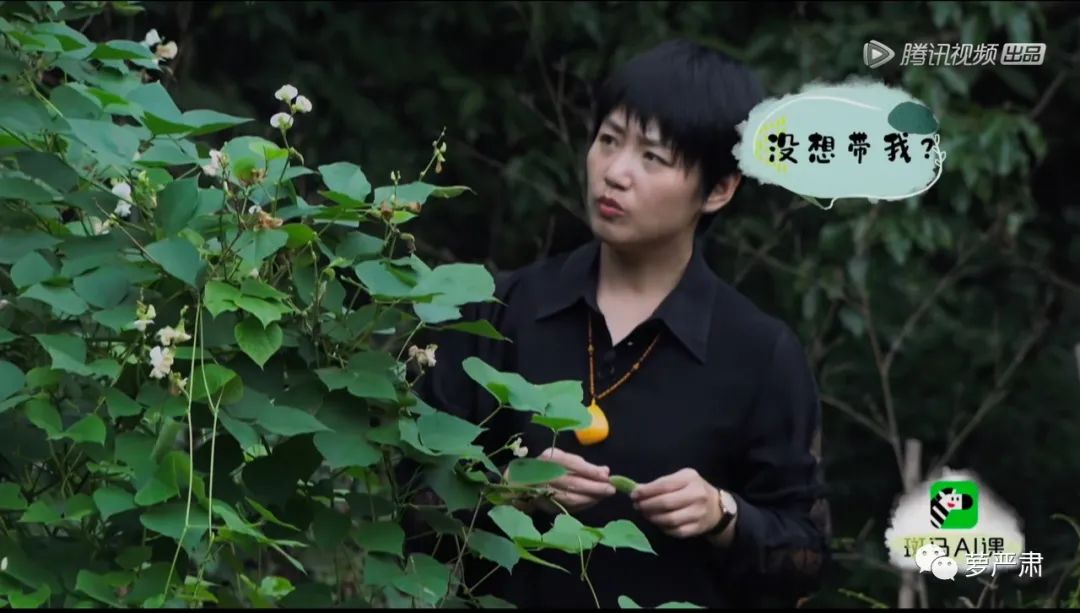 中国式婚姻男人的现状,中国好老公的典型