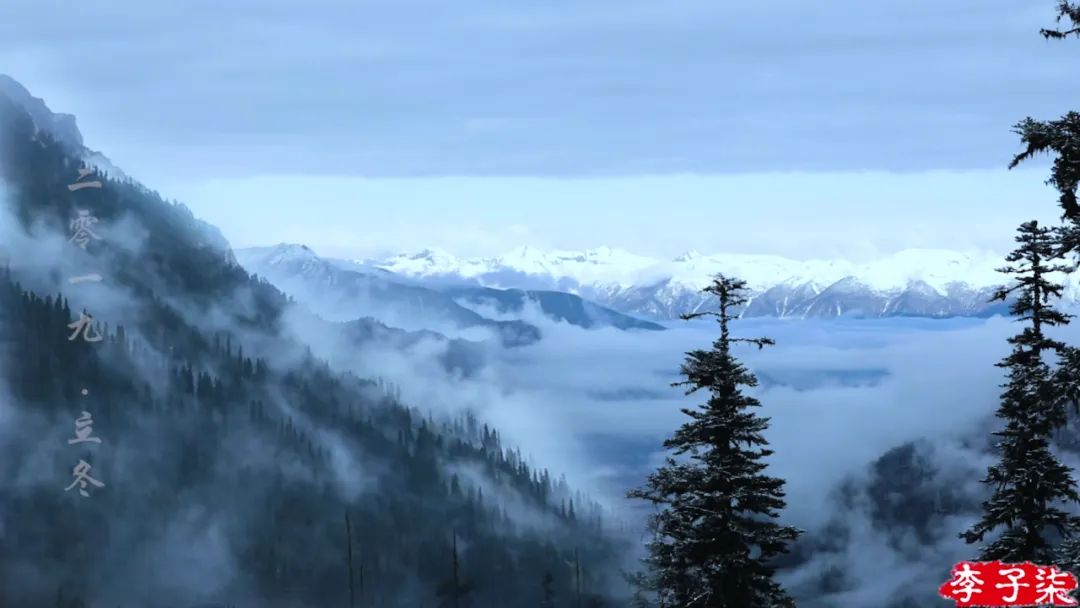 李子柒视频转场技巧,李子柒拍摄视频技巧