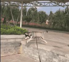 网上买的连衣裙到货了，店家连夜打电话跪求删除好评照片太尴尬了