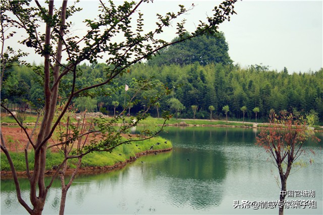 情感咨询|栗子姐每日情感问答（0330）