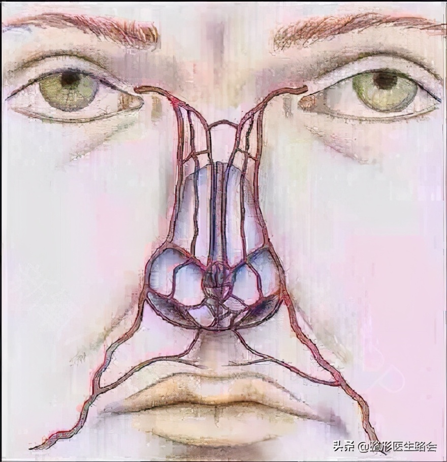 隆鼻后鼻子可以动吗,隆鼻后鼻子里可以不塞纱布吗