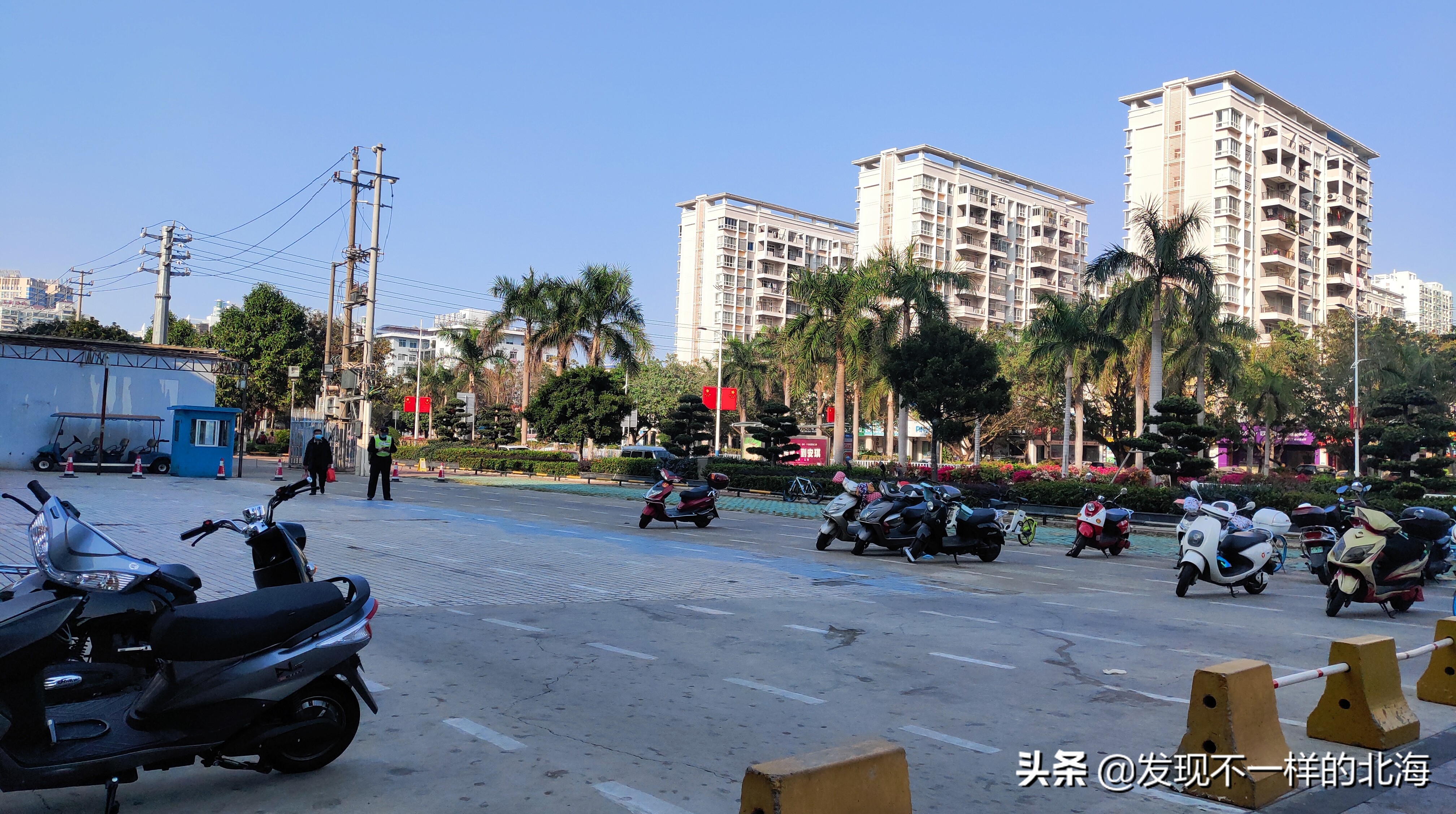 北海市最新蔬菜批发市场,北海疫情期间蔬菜价目表