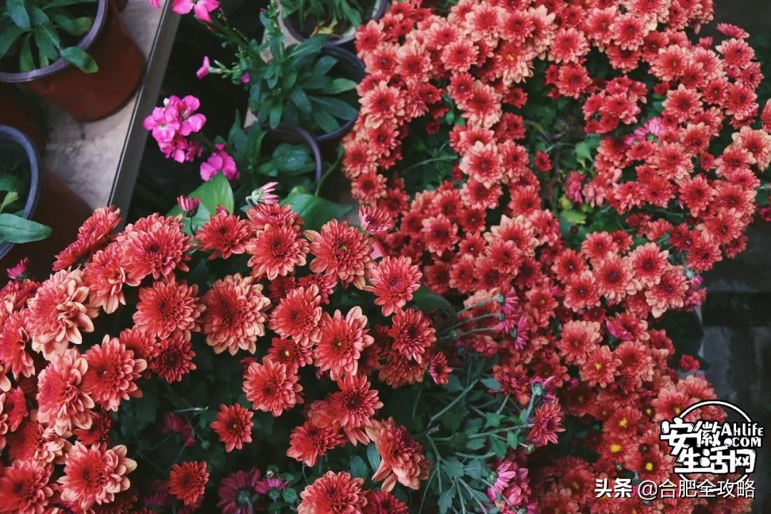 老周谷堆水果批发市场,老周谷堆古玩市场