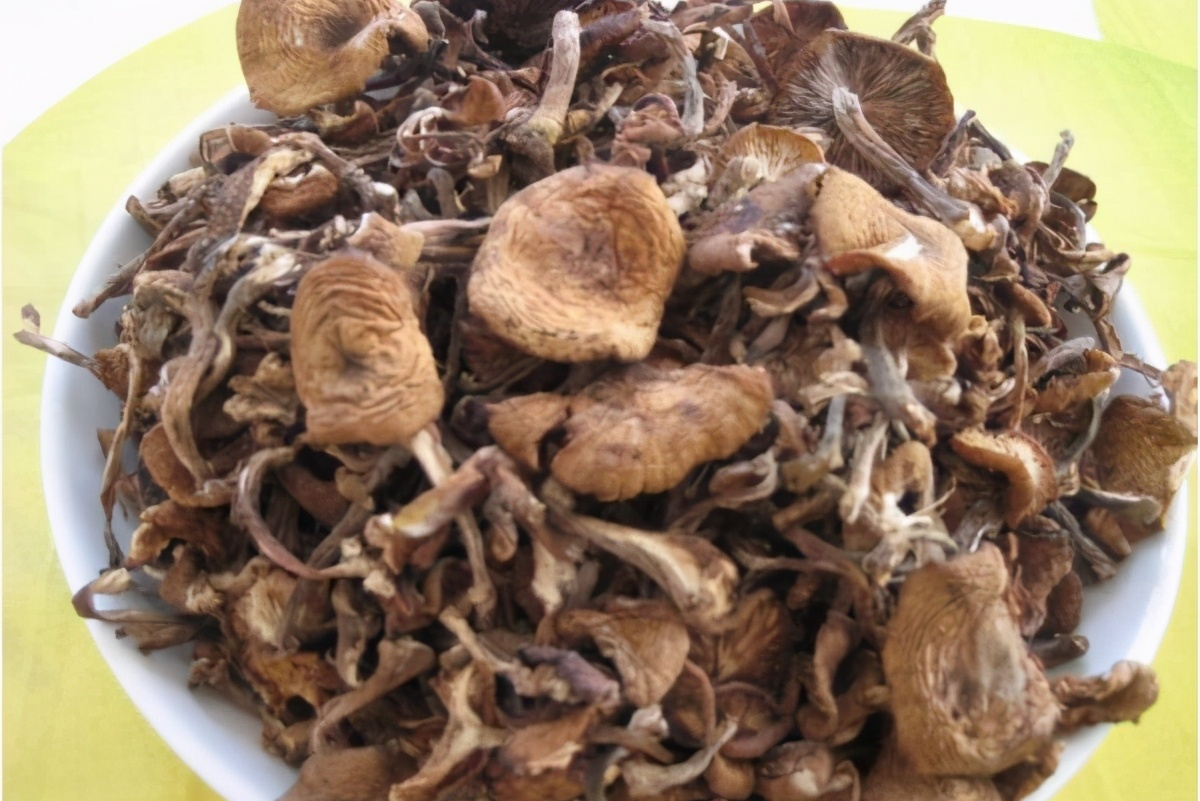 东北人过年必备的年货,东北人不回家过年