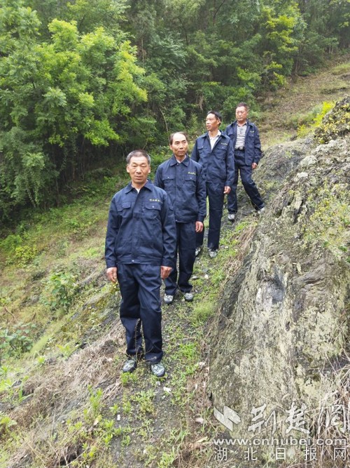 广西护林员要做什么,广西招募护林员