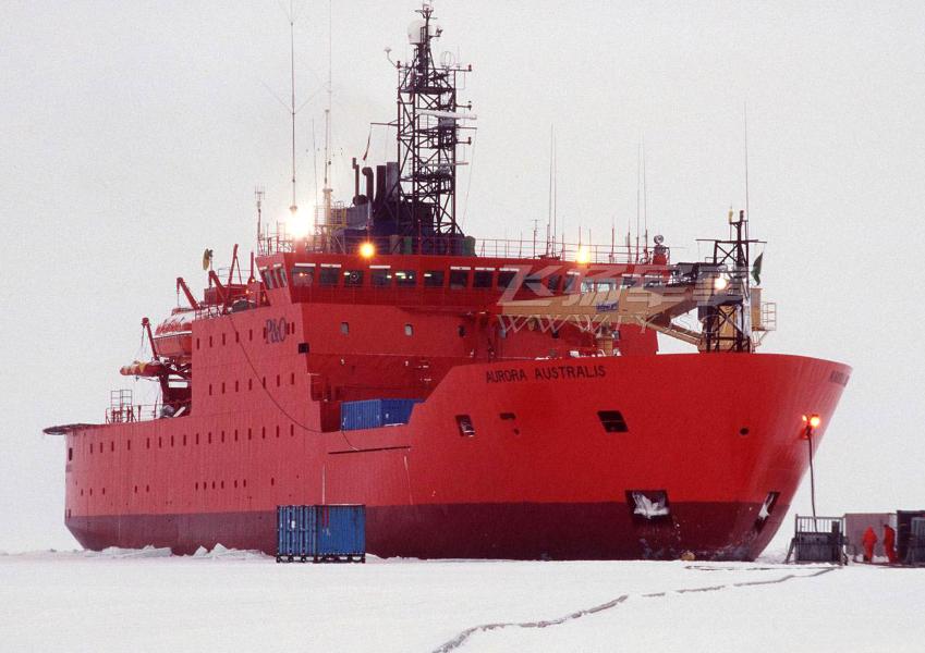 智全程简讯：欧盟CE认证资格辨别指南（防疫物资外贸必看）