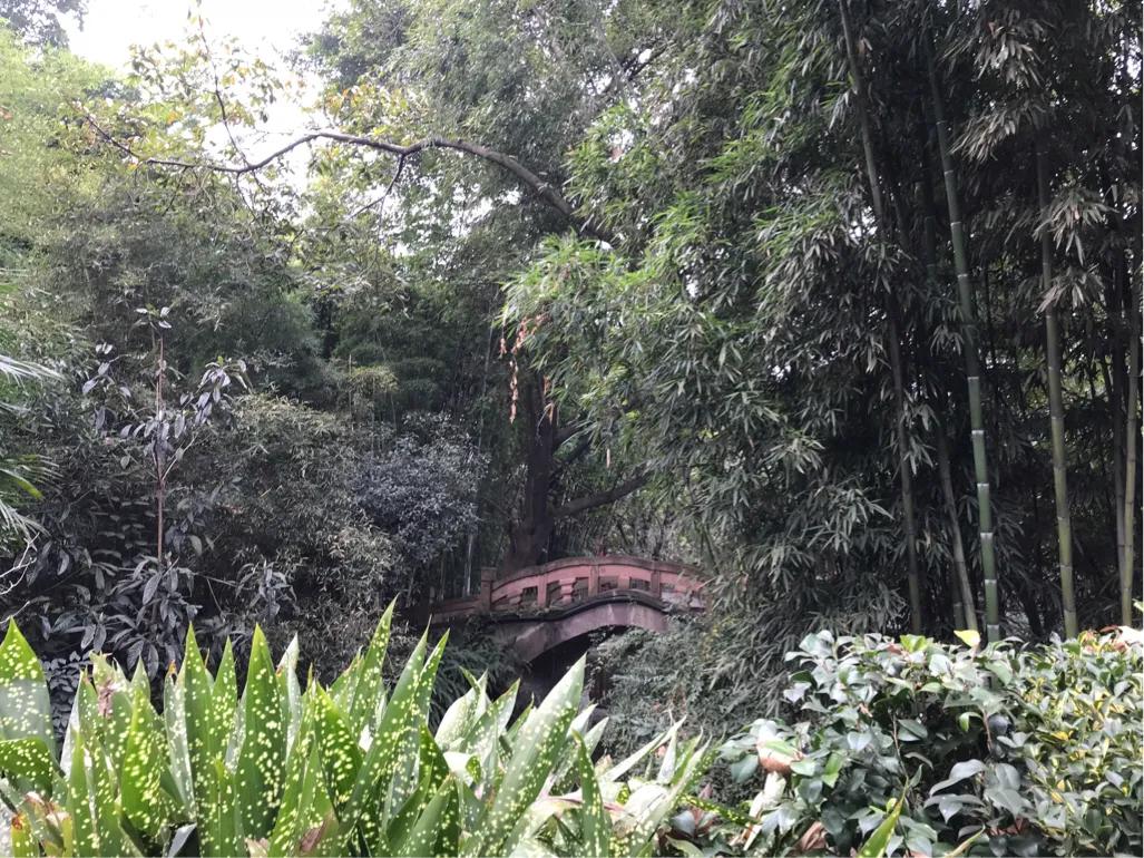 成都望江楼公园简介,成都望江楼公园要门票吗