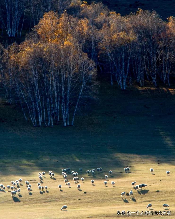 国庆旅游宝藏景点,还有哪些宝藏小众旅游地