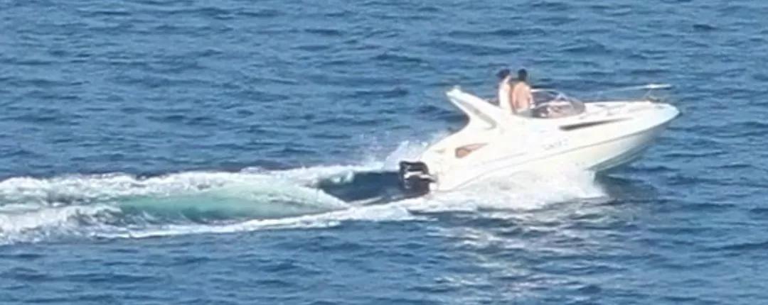 一张500万像素的照片有多大,一张125g的照片