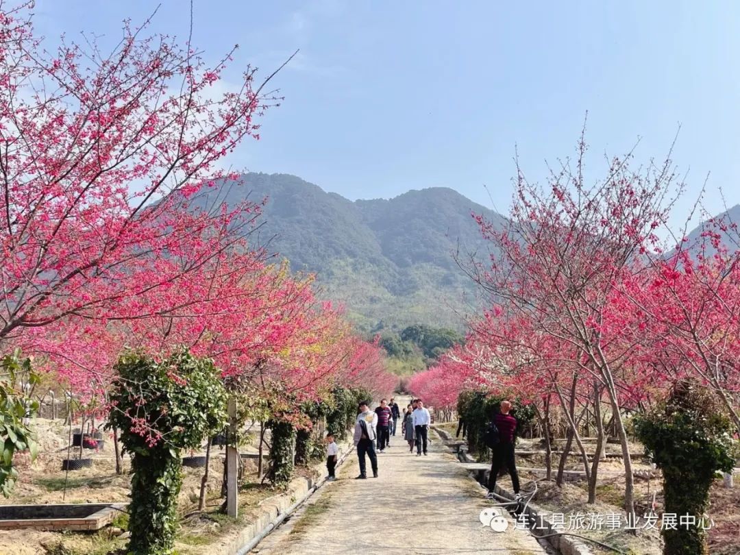 春节连江旅游攻略,去连江必玩的十大景点