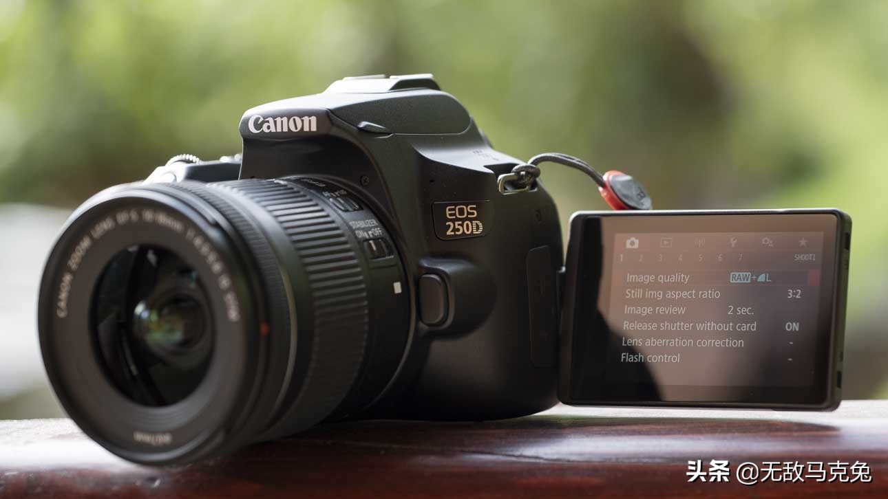 2023佳能相机推荐,2022公认的最好佳能单反相机