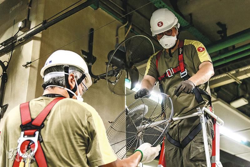香港一日游免费观看,香港一日体验卡