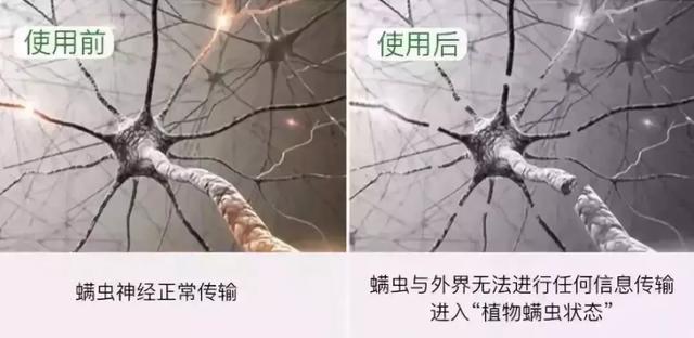 床上螨虫成窝,家里老人小孩老过敏,教你1个土法子,让螨虫消失