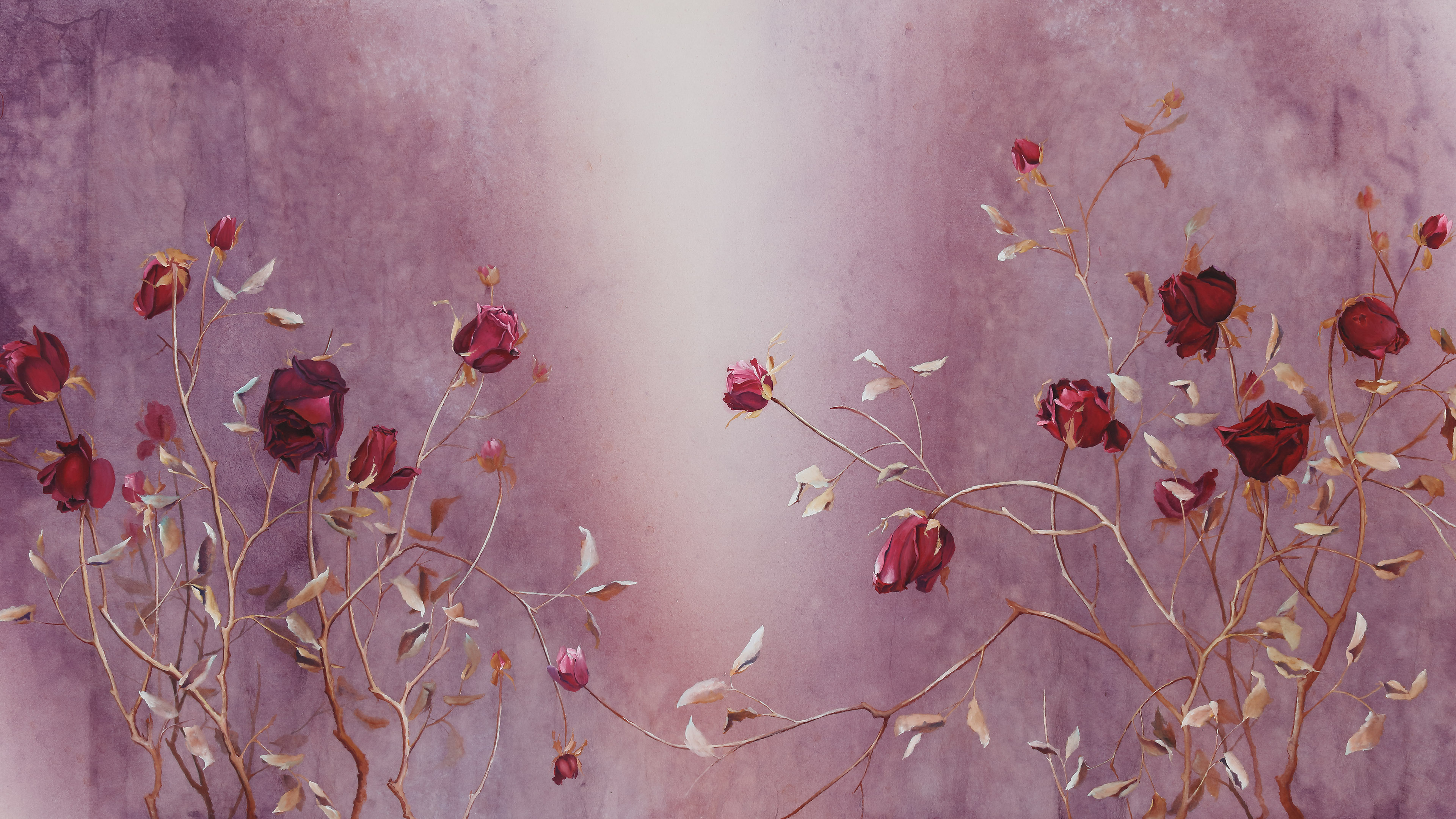 穆萨总有一束光,穆萨事迹