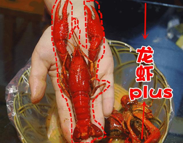 麻辣龙利鱼豆腐虾,虾滑龙利鱼番茄