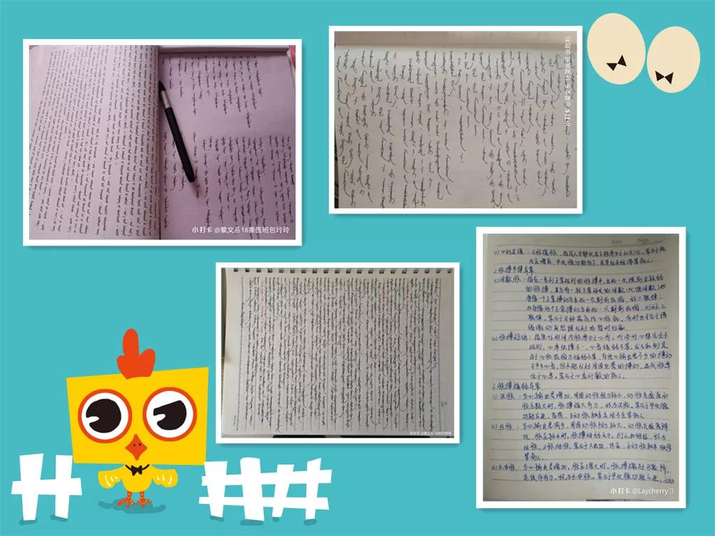 闃滄柊楂樼瓑鑱屼笟瀛﹂櫌鏍￠濡備綍,闃滄柊楂樼瓑涓撶瀛︽牎瀛︿範
