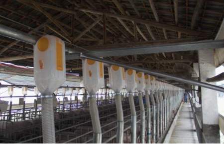 想建养殖基地申请怎么写,想建个猪场怎么申请