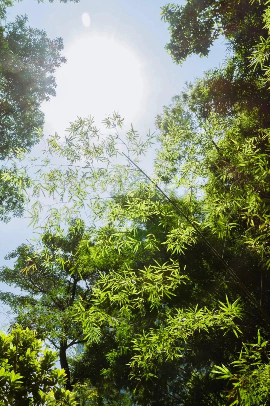 重庆轨道3号线,贵阳地铁3号线