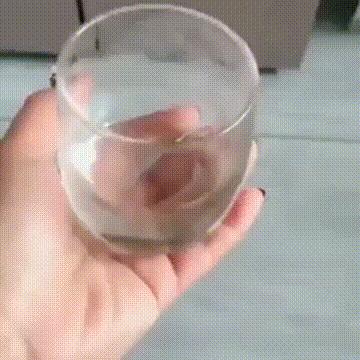 学日语被骂是活该吗,当你学日语被误会成汉奸