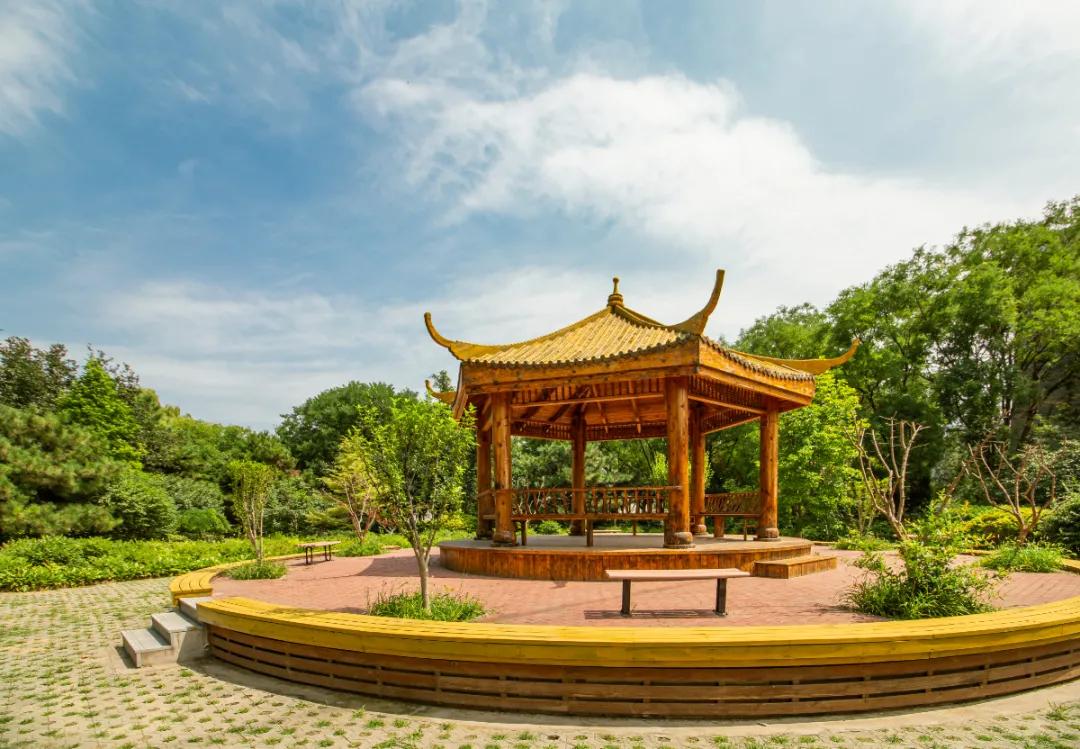 翔宇航空真实口碑,翔宇航空靠谱吗