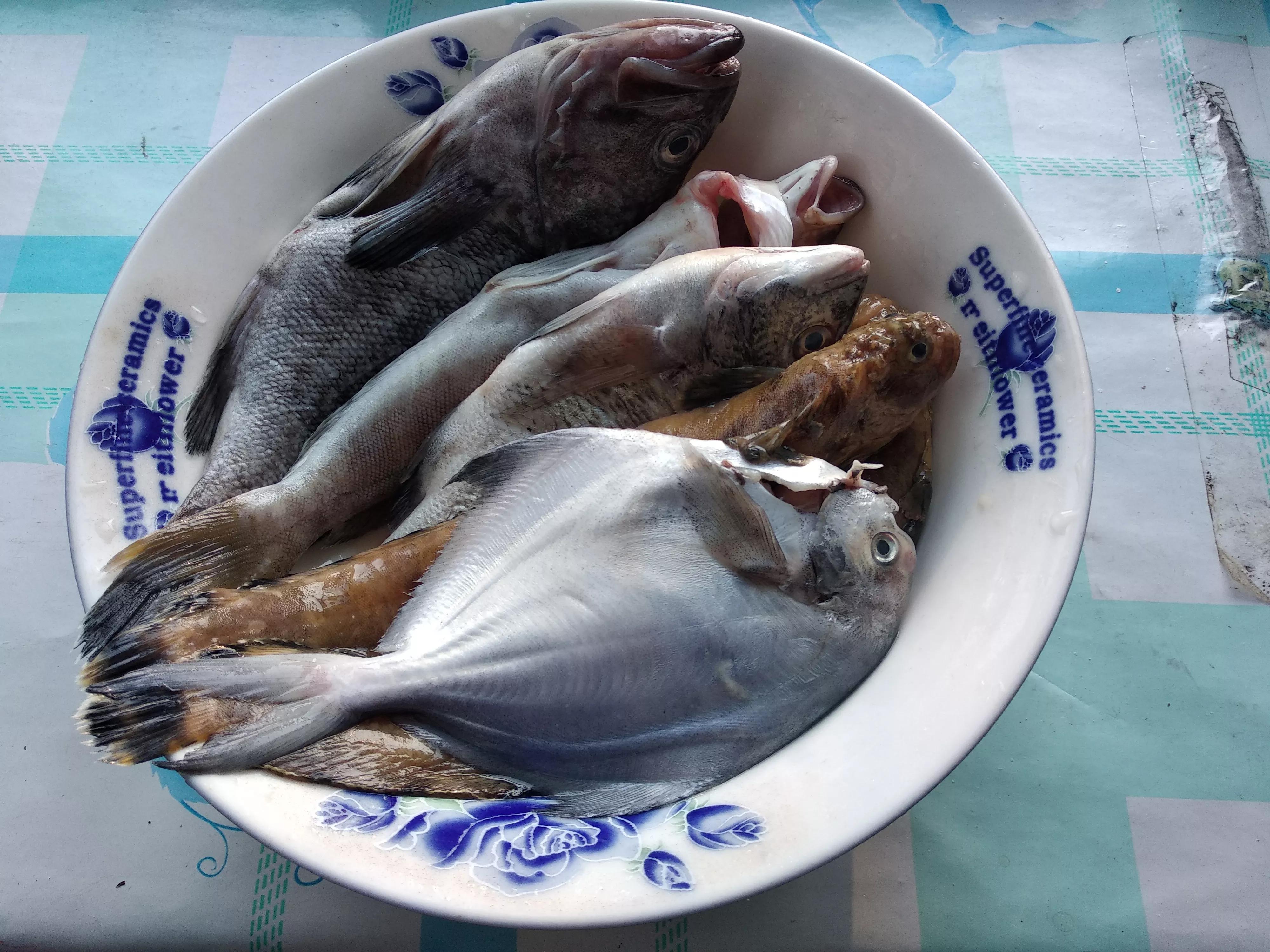 周末回老家帮老爸老妈干农活,做给老丈人和老丈母娘吃的家常菜