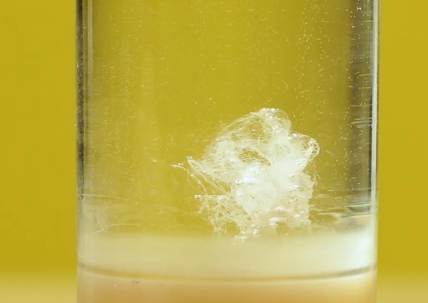 磁珠提取dna的步骤及原理,dna都可以从什么地方提取