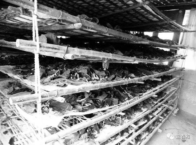 一段传承故事，一段美丽人生|正春和的再传承与发扬