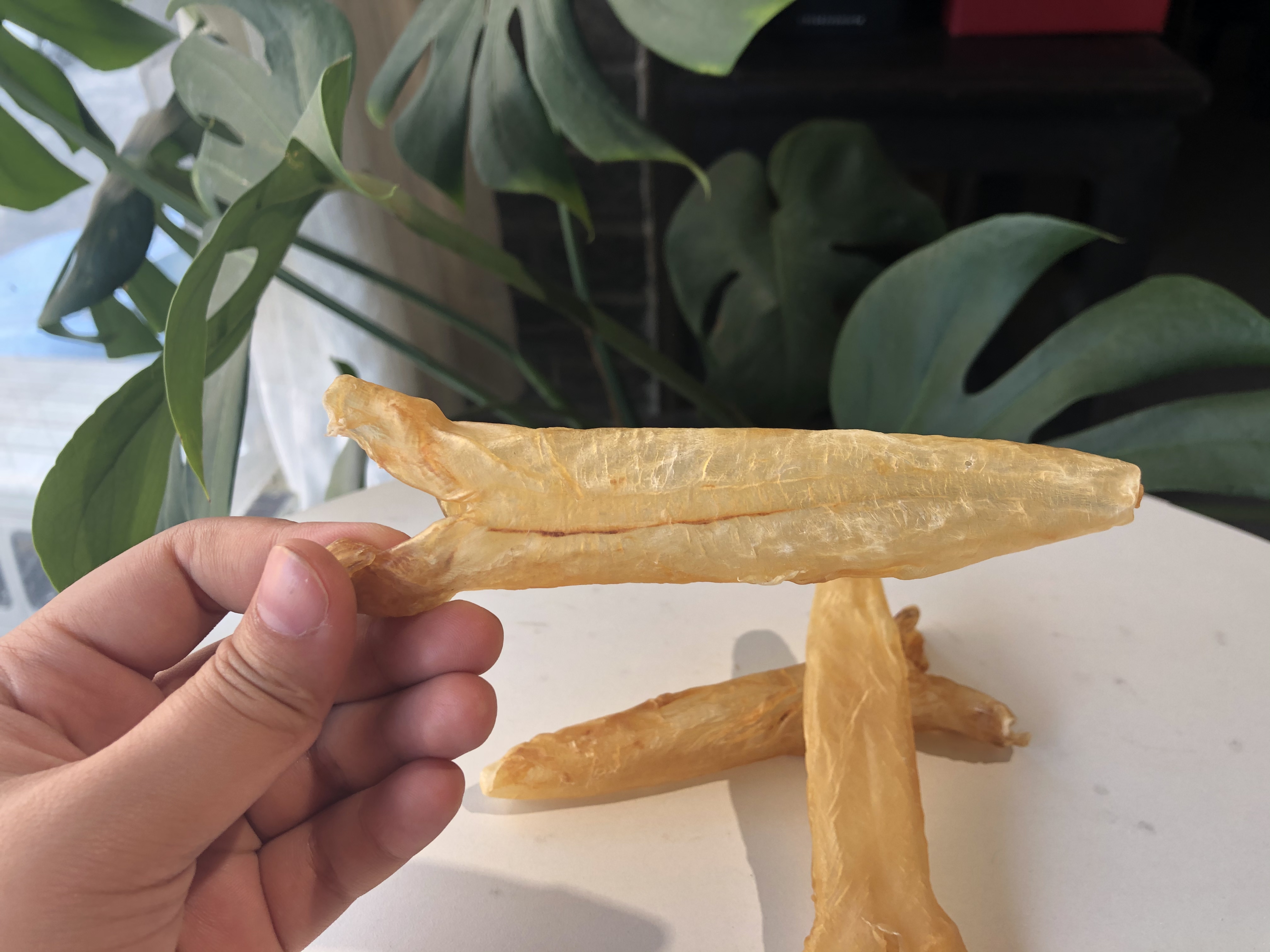 家庭食用哪种黄花胶比较好,官栈轻食花胶和即食花胶区别