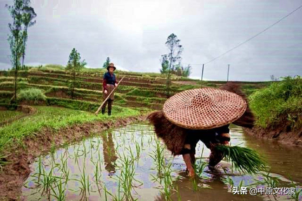 俗话说头无油脚无汗,头无脑油脚无汗有什么说法