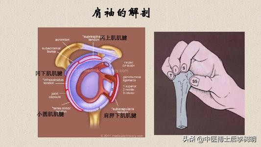 中医教授讲肩周炎,肩膀疼痛与肩周炎的区别