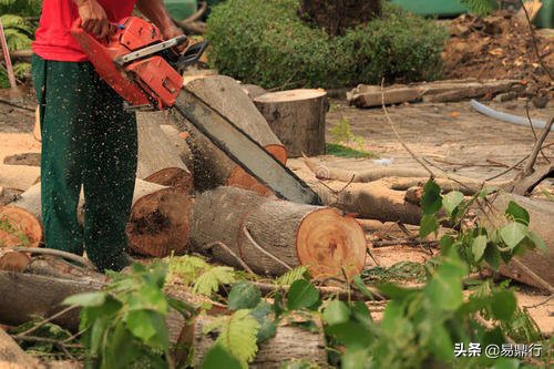 节材代木,易鼎行钢木龙骨综合优势“一枝独秀”