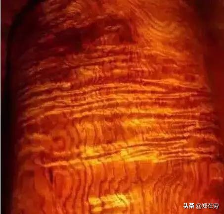 最好前五种的木材,九种常见木材