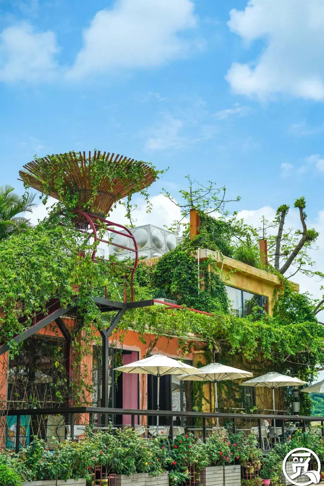 深圳「废弃染布厂」变废为宝，化身“湖畔花园”美若世外桃源！